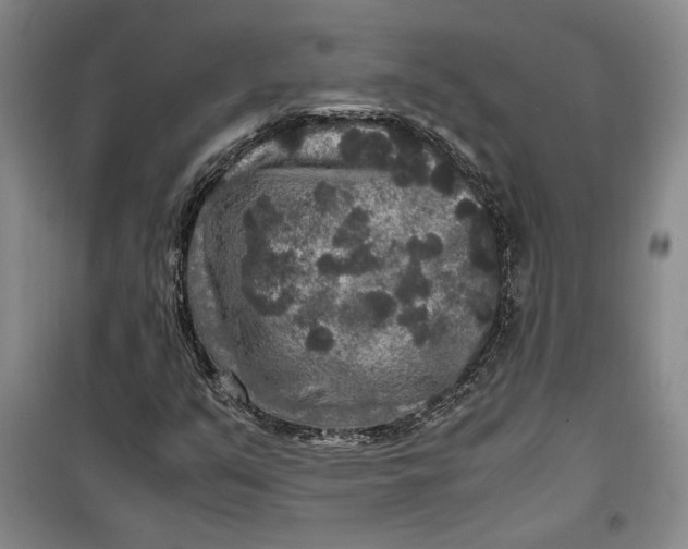 X0000099991351200806131425