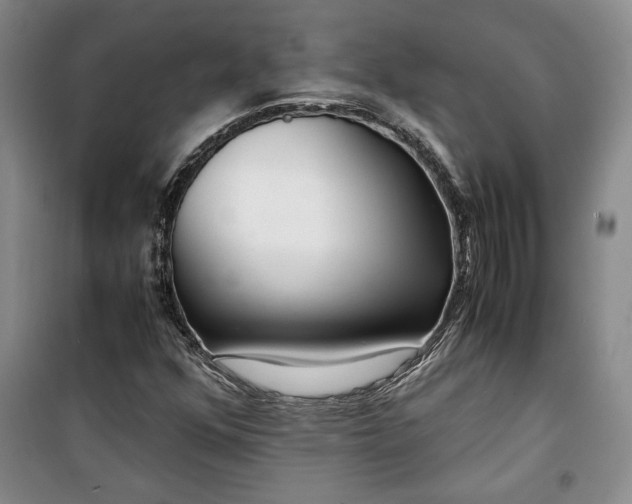 X0000099991352200806131425