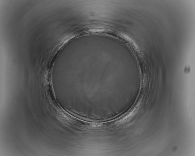 X0000099991353200806131425