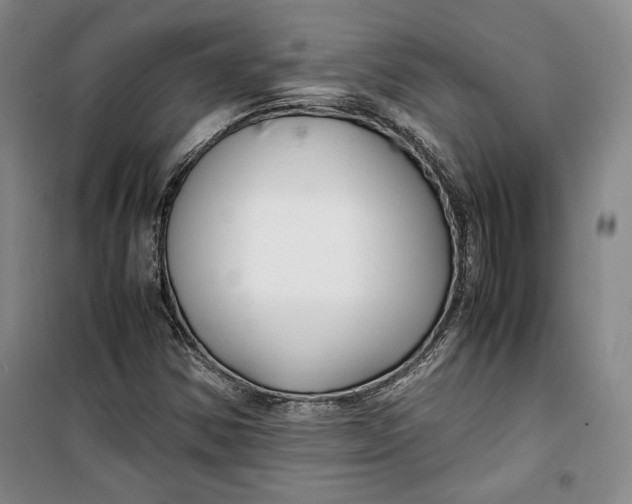 X0000099991354200806131425