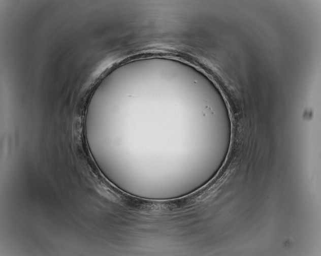 X0000099991355200806131425