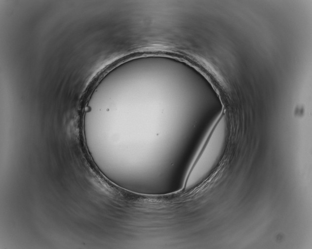 X0000099991356200806131425