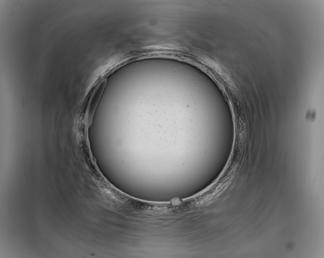 X0000099991357200806131425