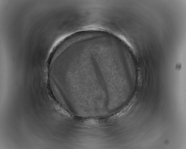 X0000099991358200806131425