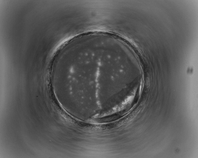 X0000099991359200806131425