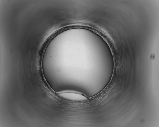 X0000099991360200806131425