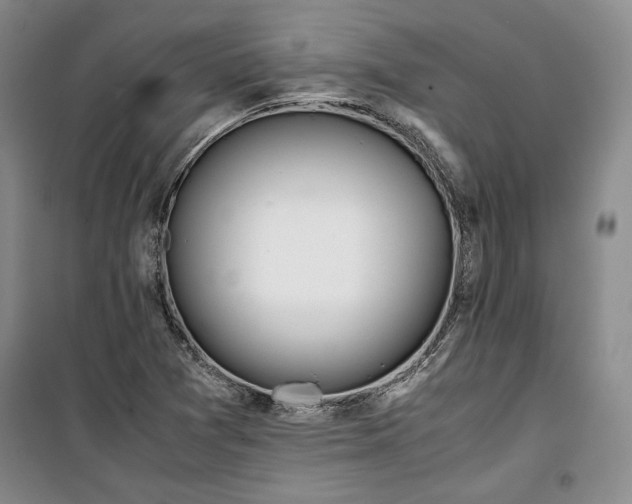 X0000099991361200806131425