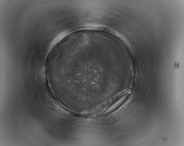 X0000099991362200806131425