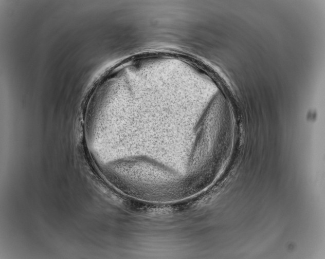 X0000099991363200806131425