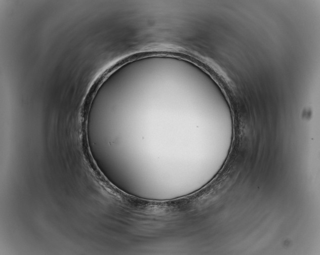 X0000099991364200806131425