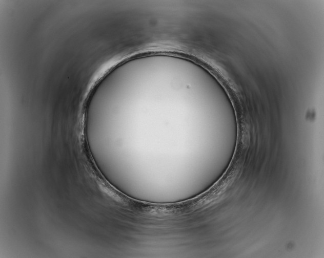 X0000099991366200806131425