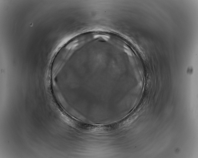 X0000099991367200806131425