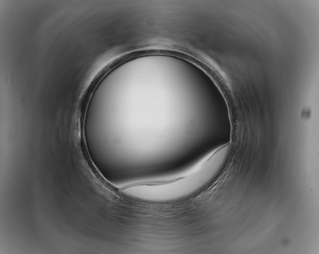 X0000099991368200806131425