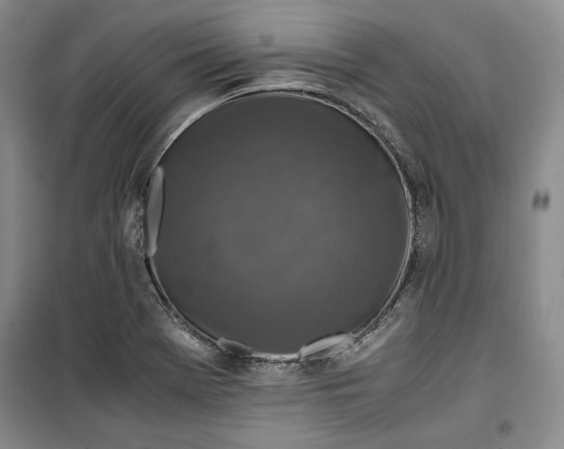 X0000099991369200806131425