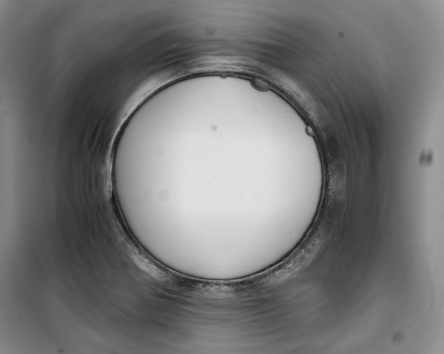 X0000099991370200806131425