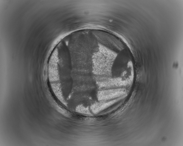 X0000099991371200806131425