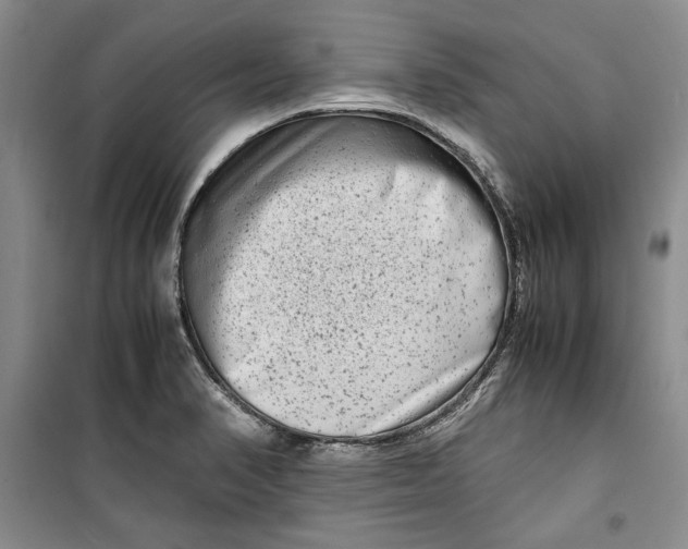 X0000099991374200806131425