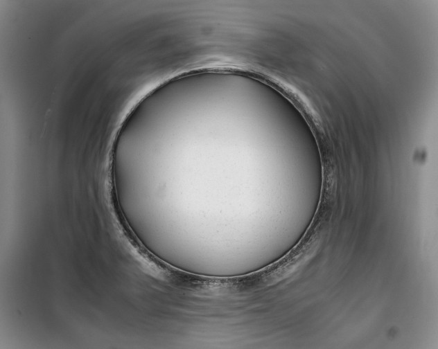 X0000099991375200806131425