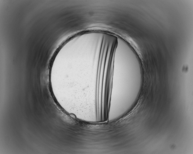 X0000099991376200806131425