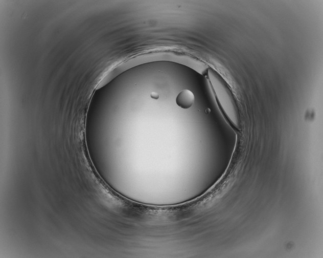 X0000099991377200806131425