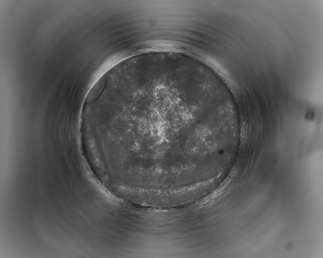 X0000099991378200806131425