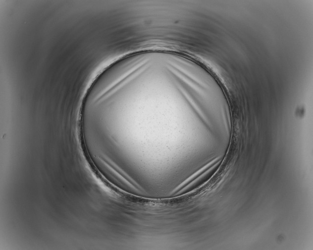 X0000099991379200806131425