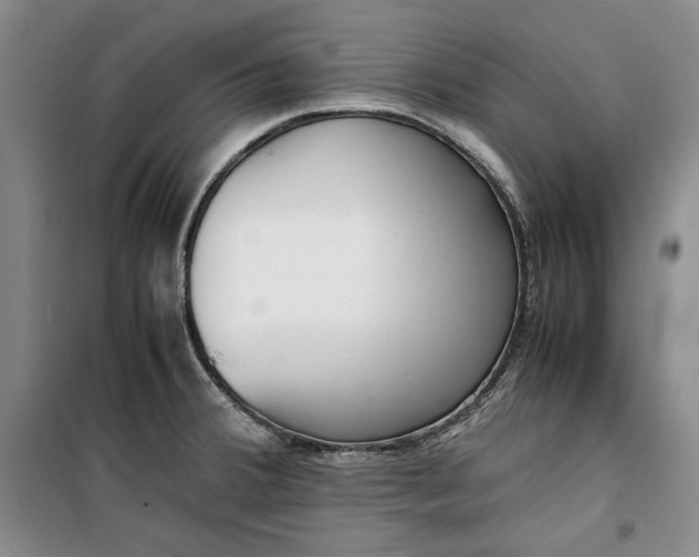 X0000099991380200806131425