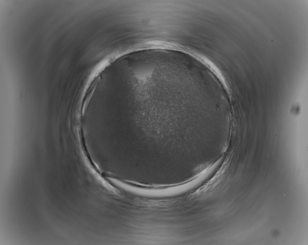 X0000099991381200806131425