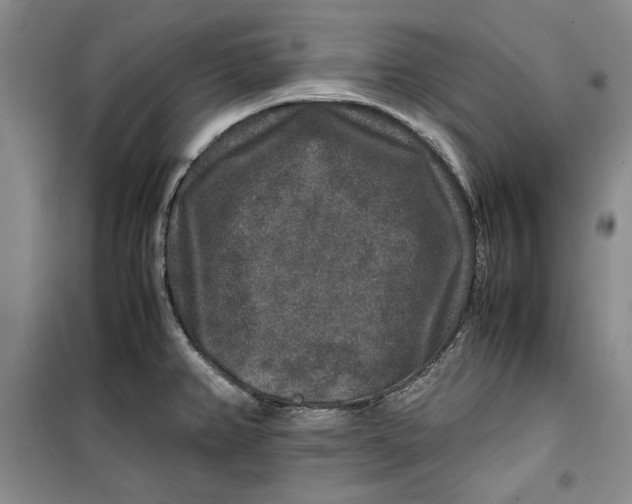 X0000099991382200806131425