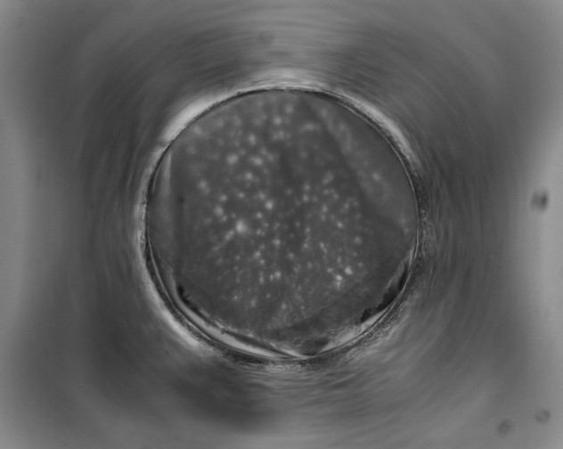 X0000099991383200806131425