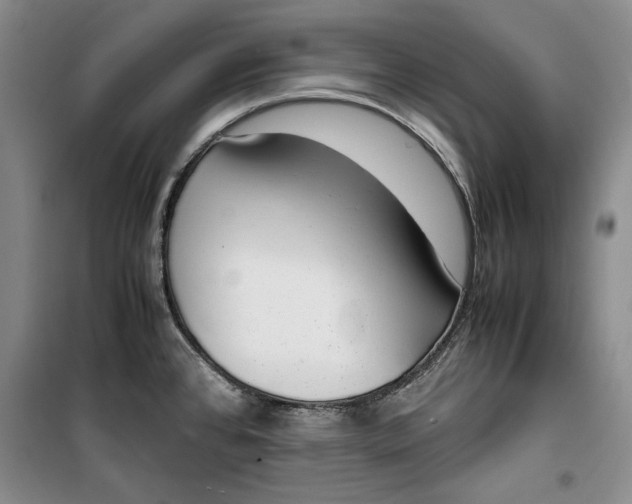 X0000099991384200806131425