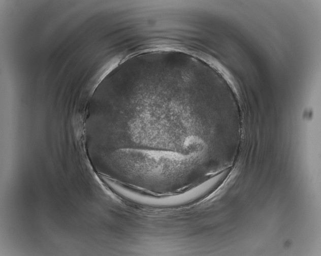 X0000099991385200806131425