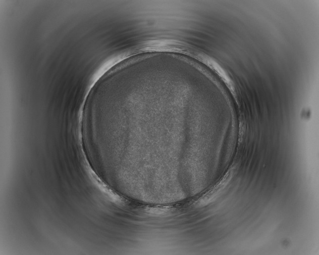 X0000099991386200806131425