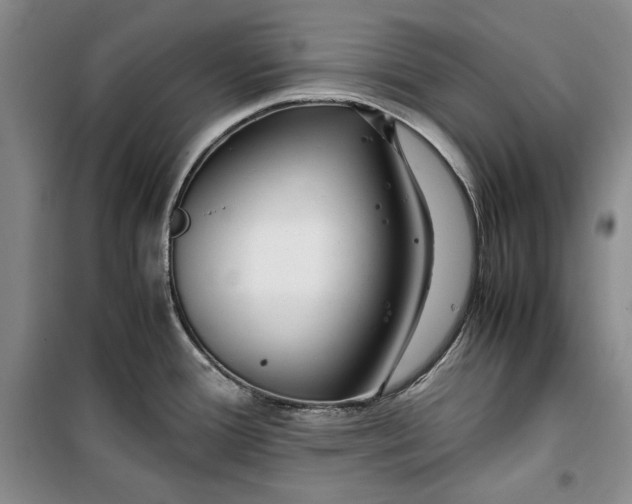 X0000099991388200806131425