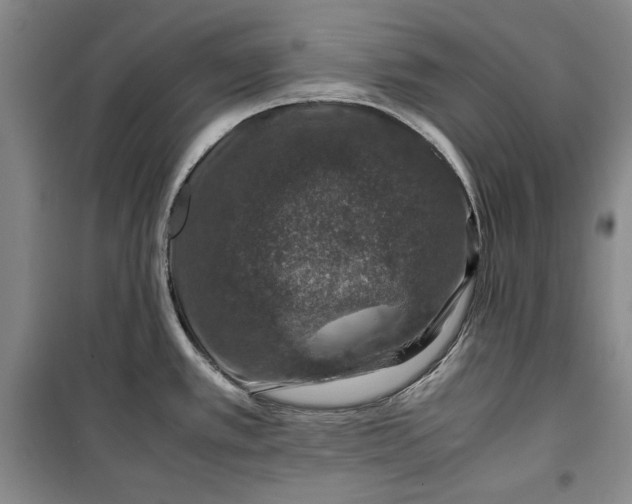 X0000099991389200806131425