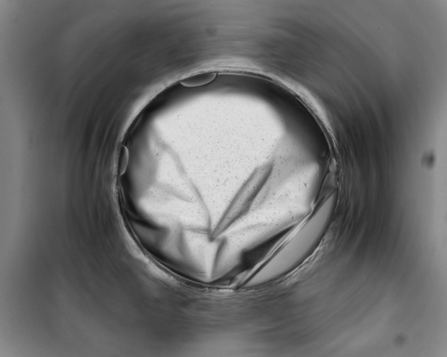 X0000099991390200806131425