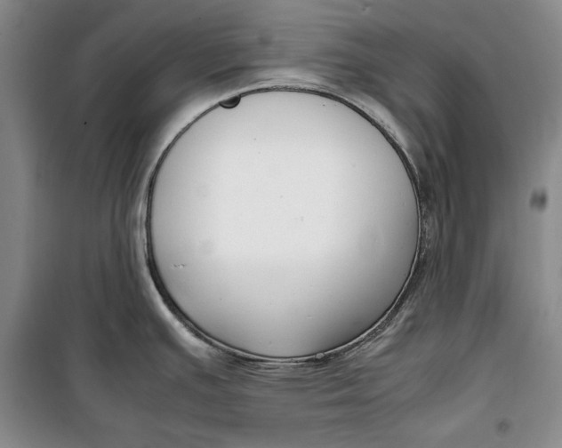 X0000099991391200806131425