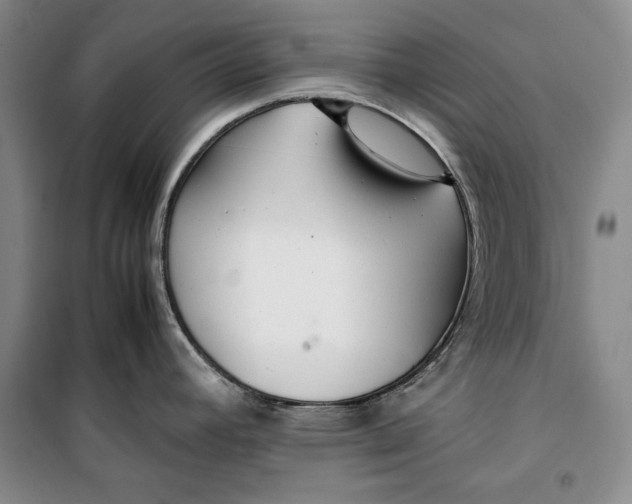 X0000099991392200806131425