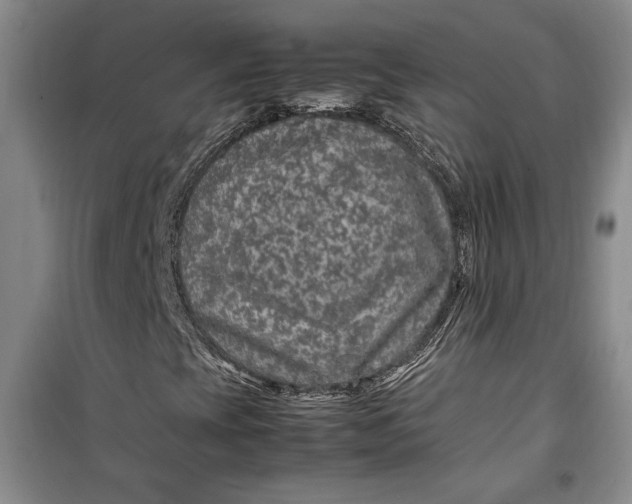 X0000099991393200806131424