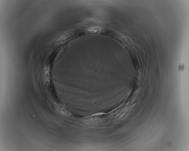 X0000099991394200806131424