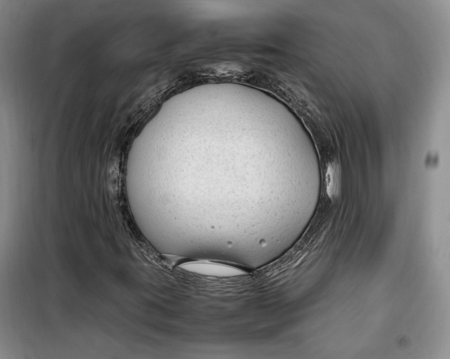 X0000099991395200806131424