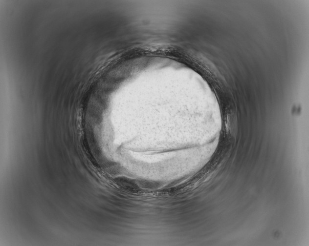 X0000099991396200806131424