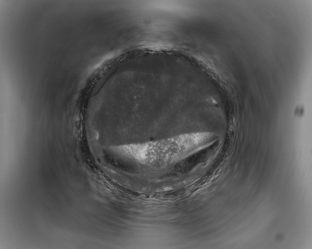 X0000099991398200806131424