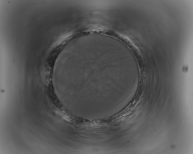 X0000099991399200806131424