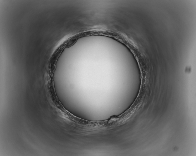 X0000099991400200806131424