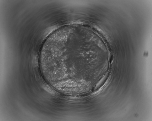 X0000099991401200806131424