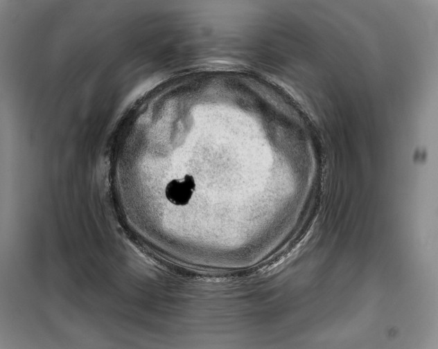 X0000099991402200806131424