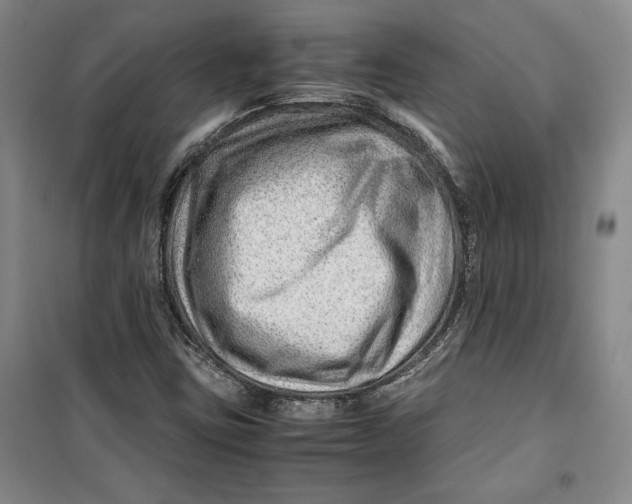 X0000099991403200806131424