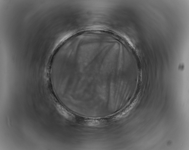 X0000099991405200806131424