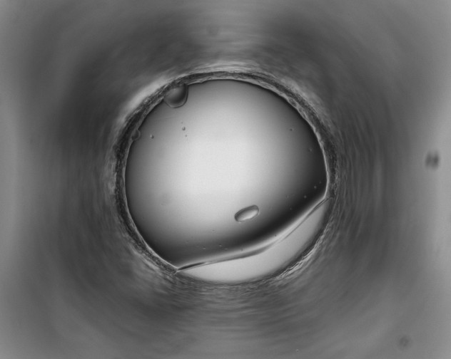 X0000099991406200806131424